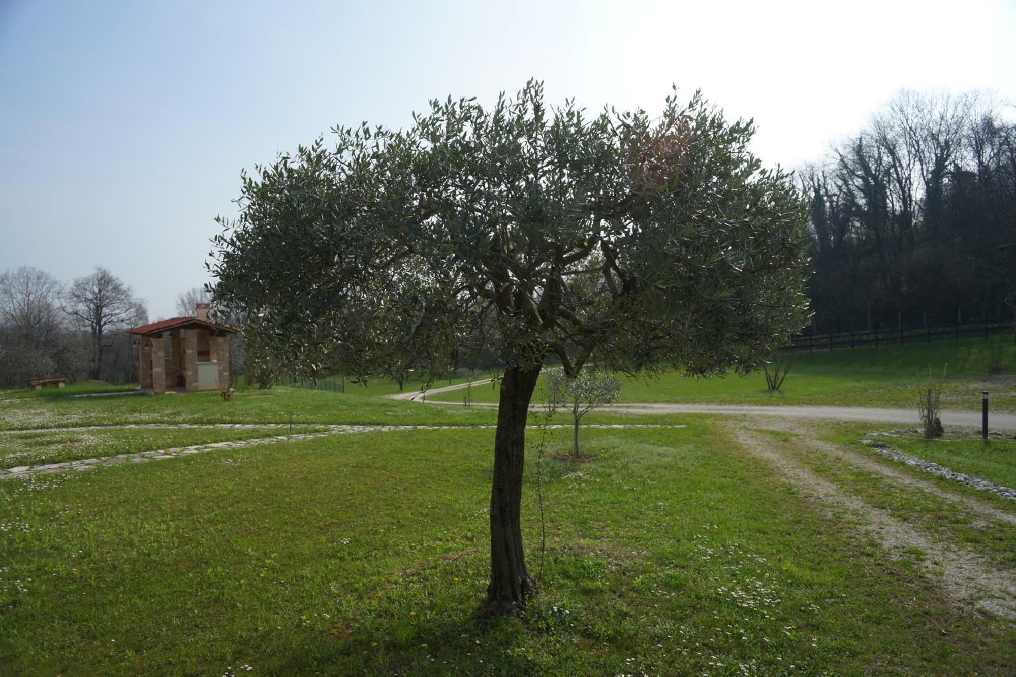 Nikolas' Valley Cornuda Exterior foto